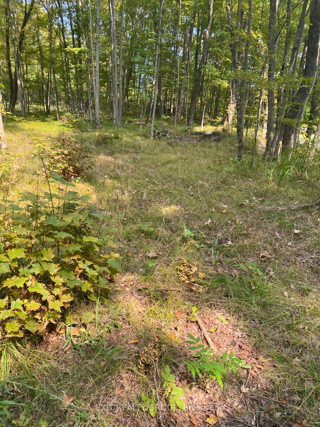 Photo 13 of Elm Tree Road, Frontenac, Frontenac Centre — HOMEH