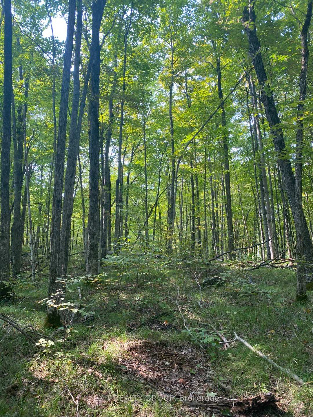 Photo 16 of Elm Tree Road, Frontenac, Frontenac Centre — HOMEH