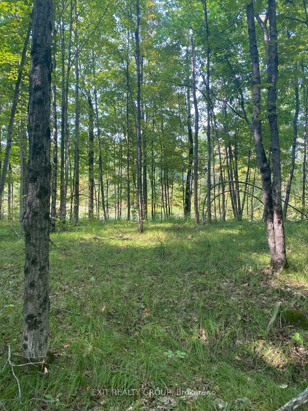 Photo 17 of Elm Tree Road, Frontenac, Frontenac Centre — HOMEH