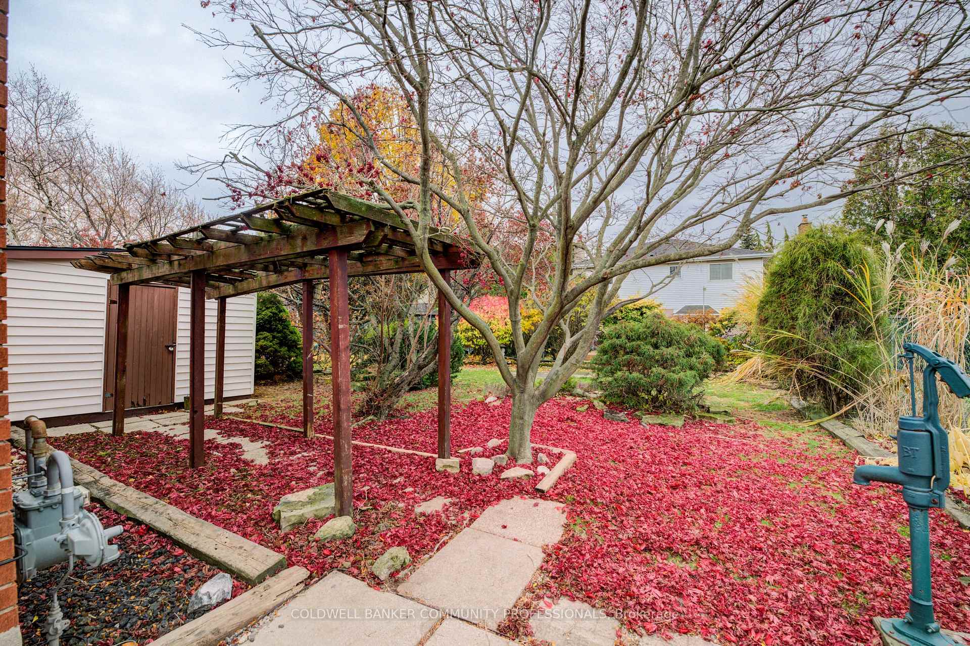 Photo 41 of 6 Jasmine Street, Hamilton, Thorner — HOMEH