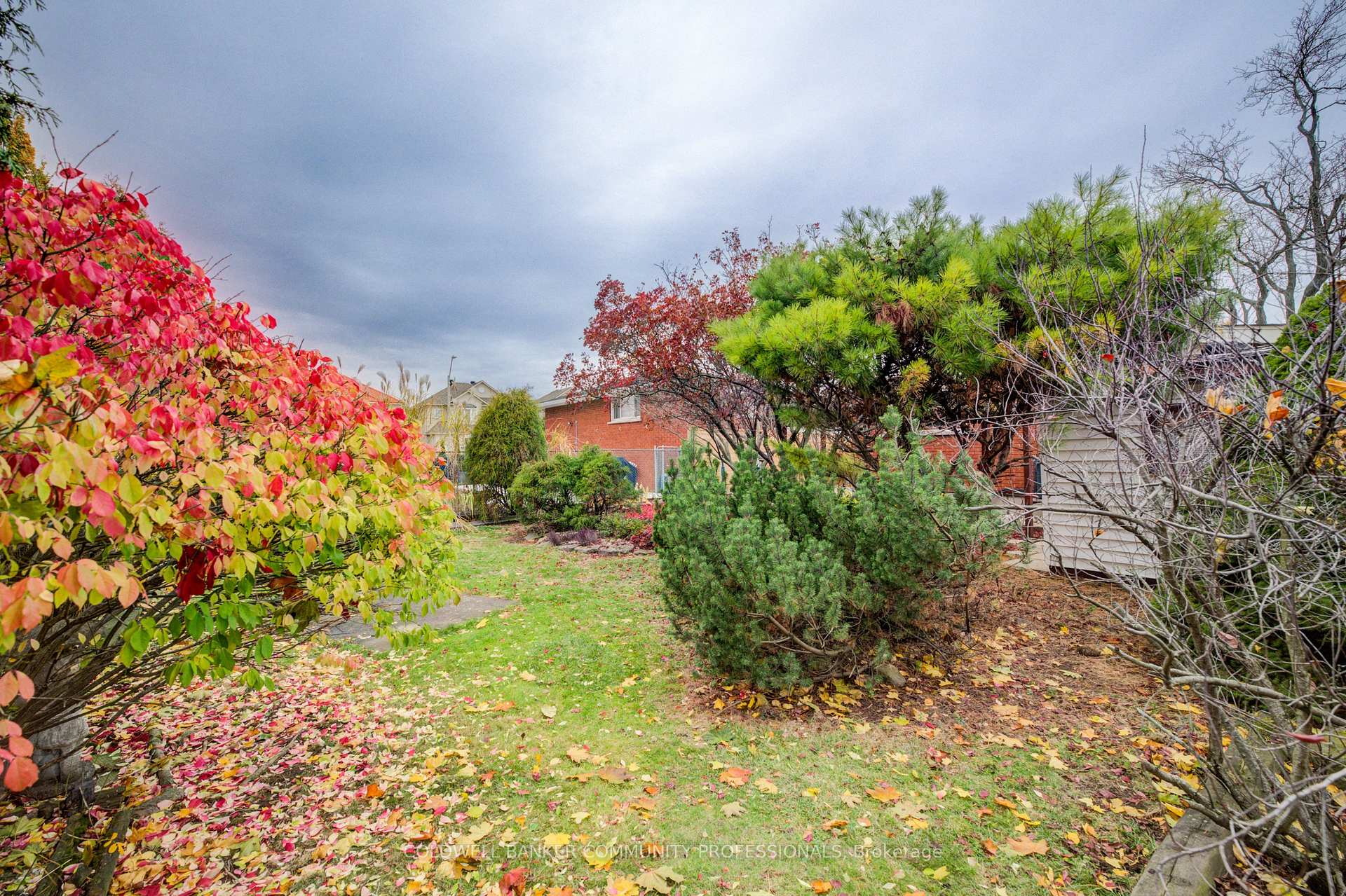 Photo 45 of 6 Jasmine Street, Hamilton, Thorner — HOMEH