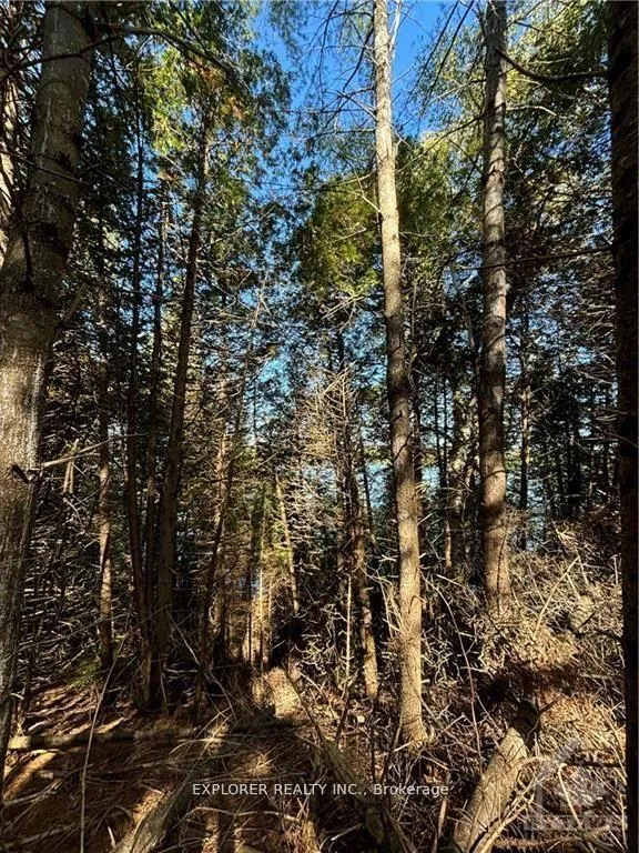 Photo 6 of 1077 Muller Point Lane, Frontenac, Frontenac North — HOMEH