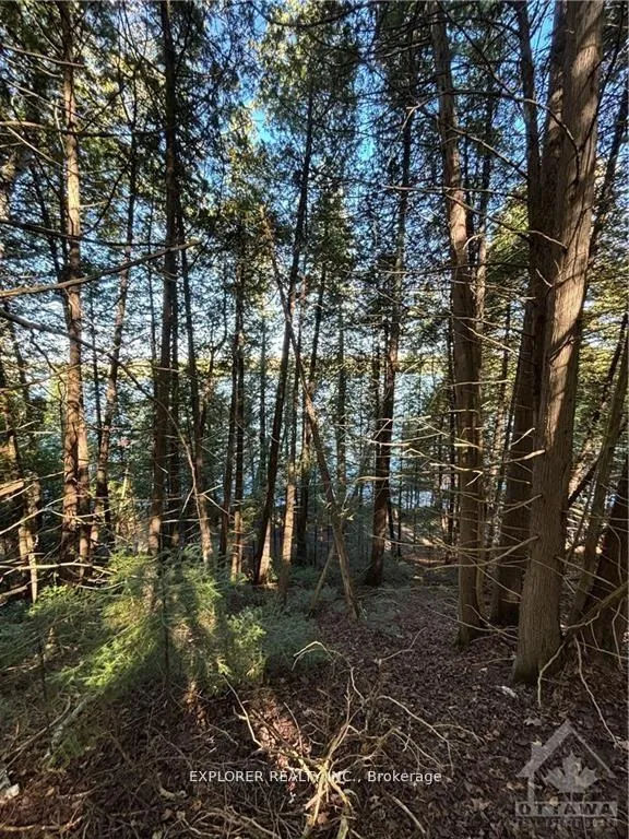 Photo 8 of 1077 Muller Point Lane, Frontenac, Frontenac North — HOMEH