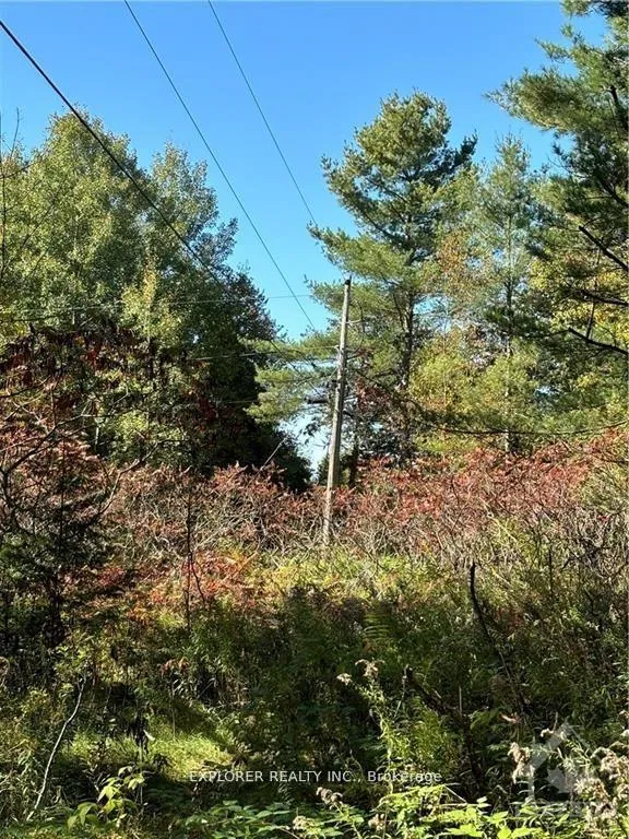 Photo 11 of 1077 Muller Point Lane, Frontenac, Frontenac North — HOMEH