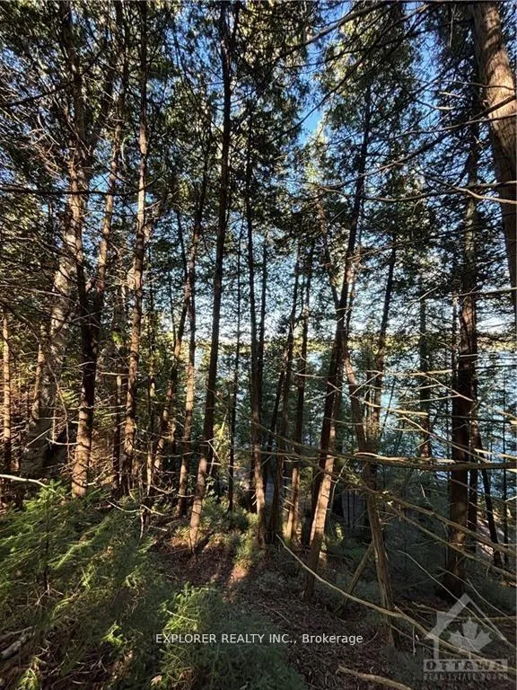 Photo 12 of 1077 Muller Point Lane, Frontenac, Frontenac North — HOMEH
