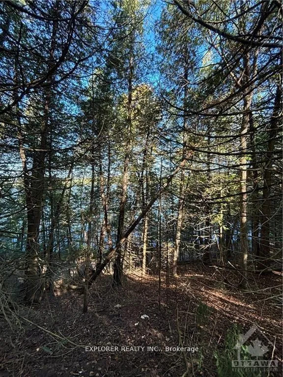 Photo 13 of 1077 Muller Point Lane, Frontenac, Frontenac North — HOMEH