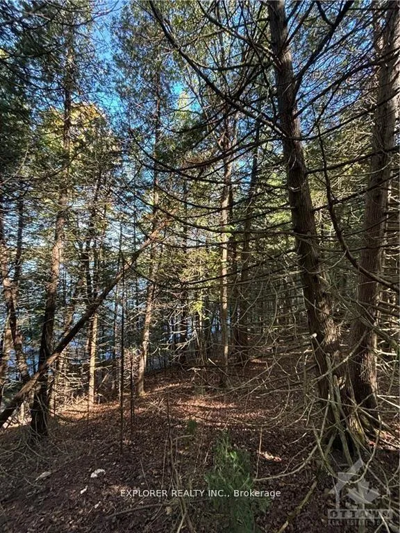 Photo 14 of 1077 Muller Point Lane, Frontenac, Frontenac North — HOMEH
