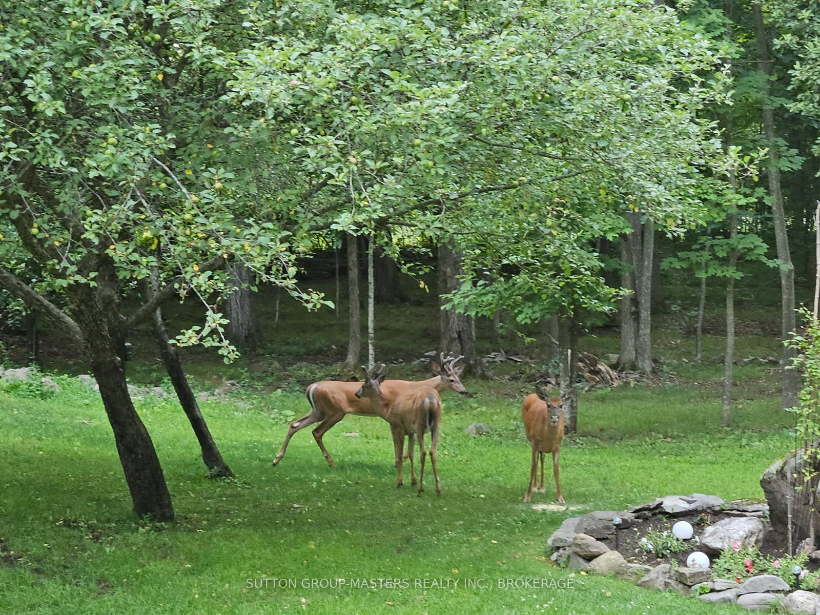 Photo 47 of 1832 Morrison Road, Frontenac, Frontenac South — HOMEH