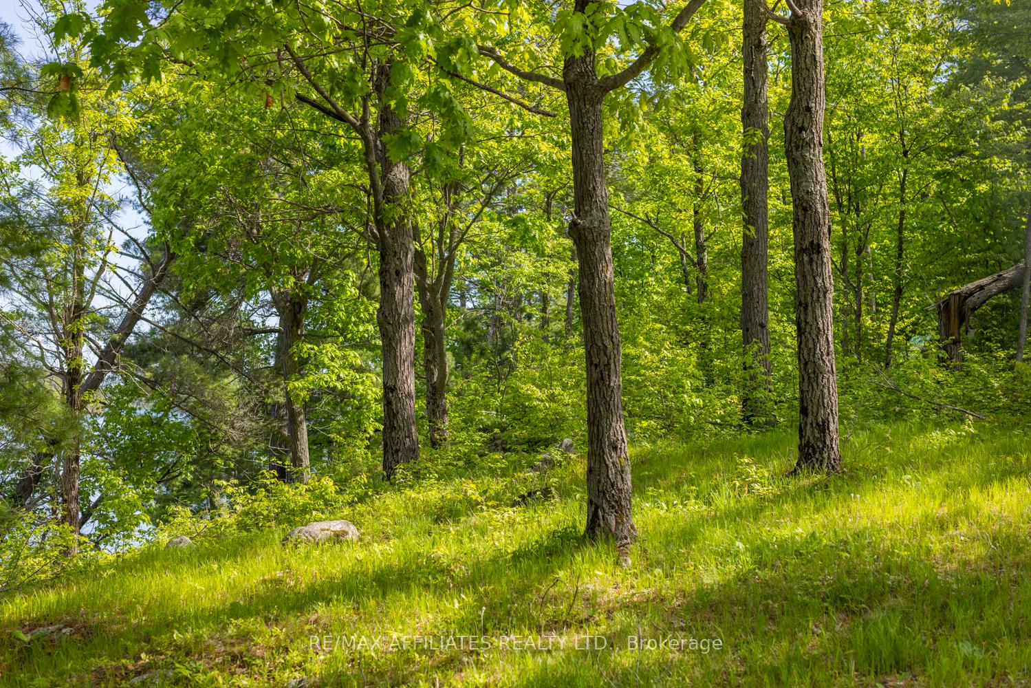 Photo 12 of Fifth Lake Road, Frontenac, Frontenac Centre — HOMEH