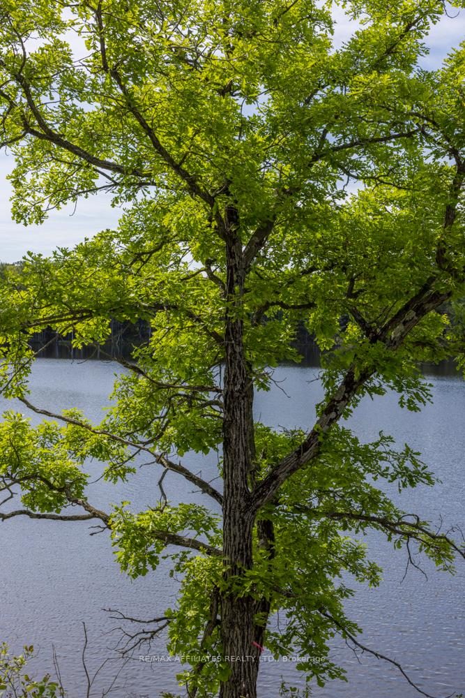 Photo 22 of Fifth Lake Road, Frontenac, Frontenac Centre — HOMEH