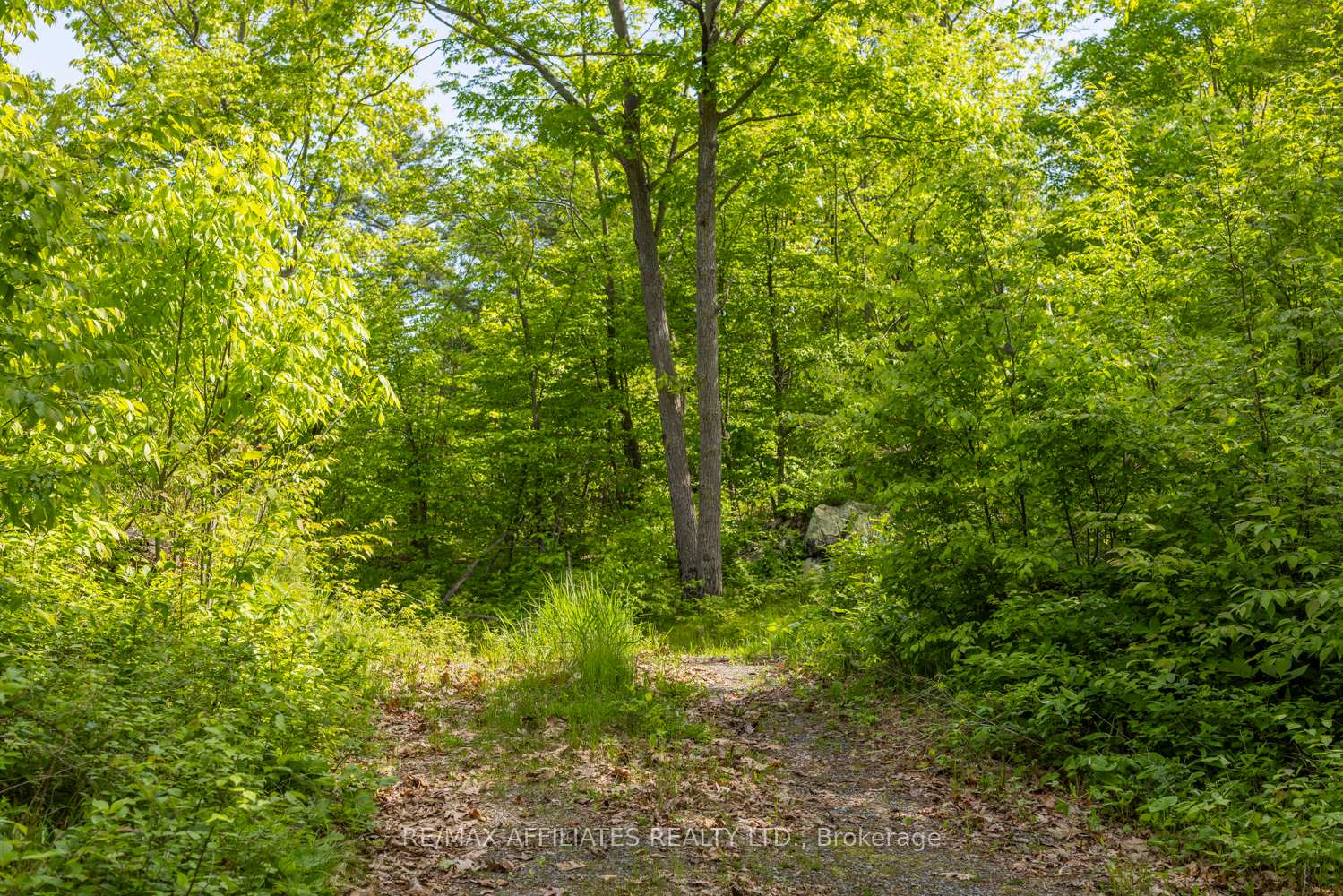 Photo 23 of Fifth Lake Road, Frontenac, Frontenac Centre — HOMEH