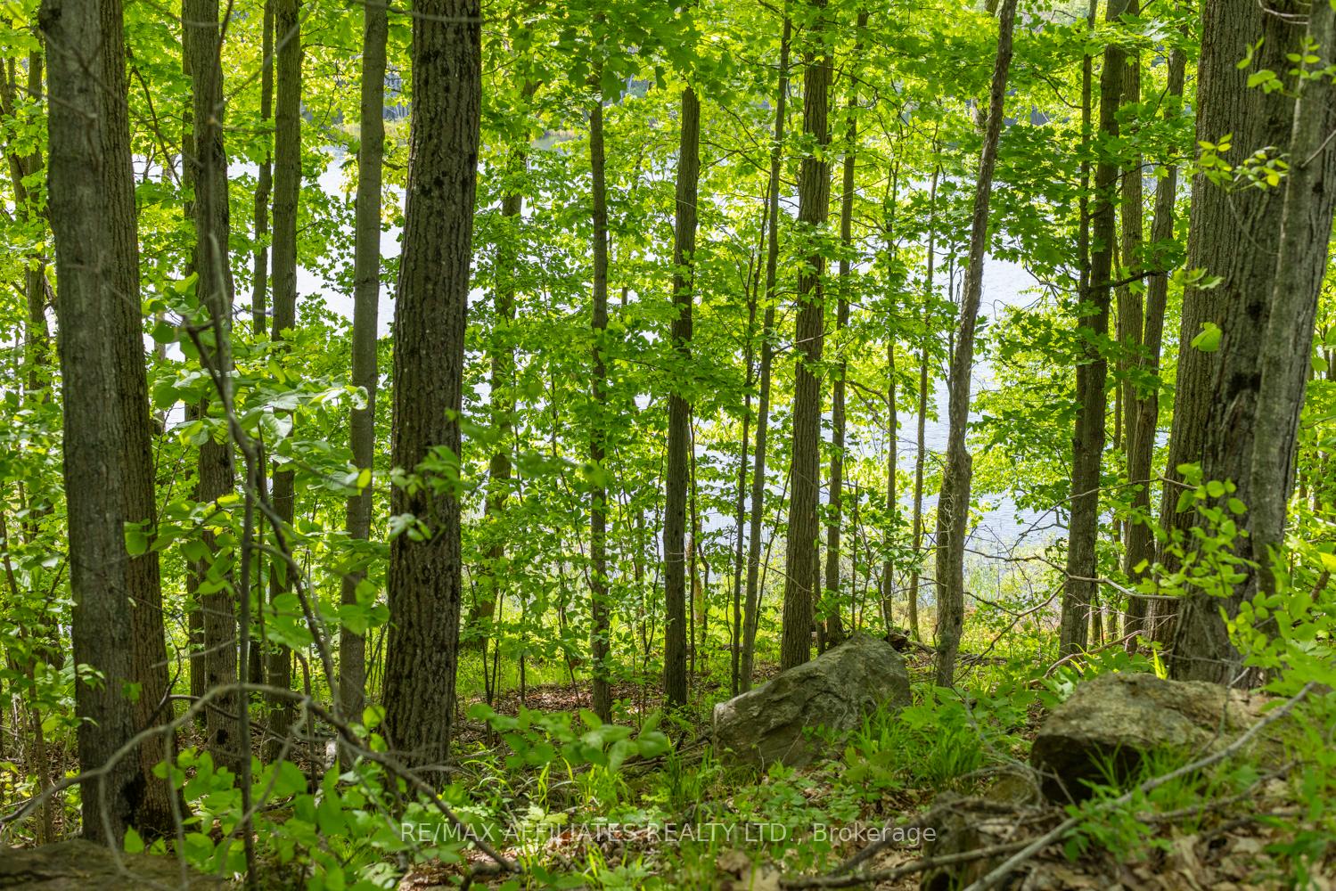 Photo 25 of Fifth Lake Road, Frontenac, Frontenac Centre — HOMEH