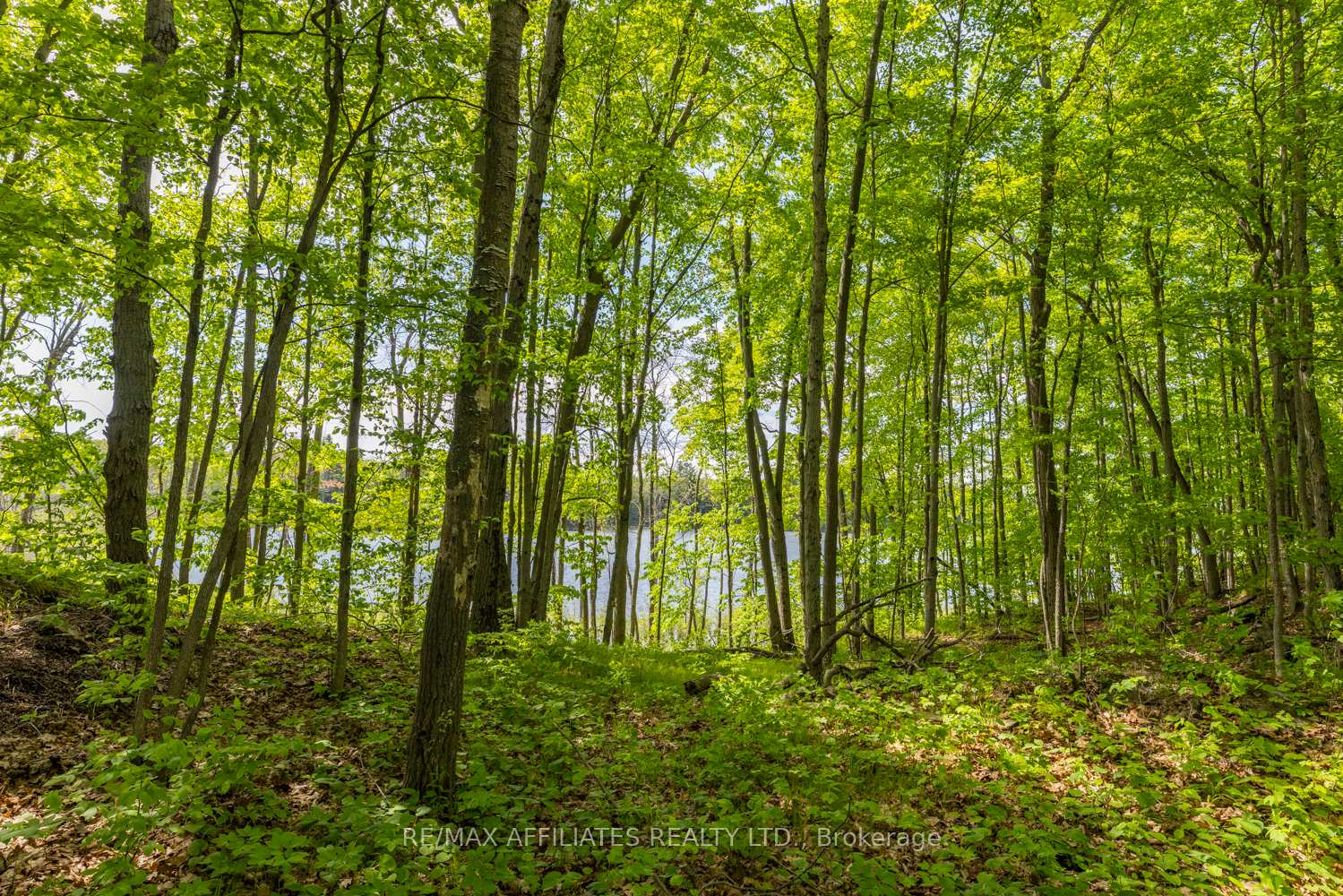 Photo 29 of Fifth Lake Road, Frontenac, Frontenac Centre — HOMEH