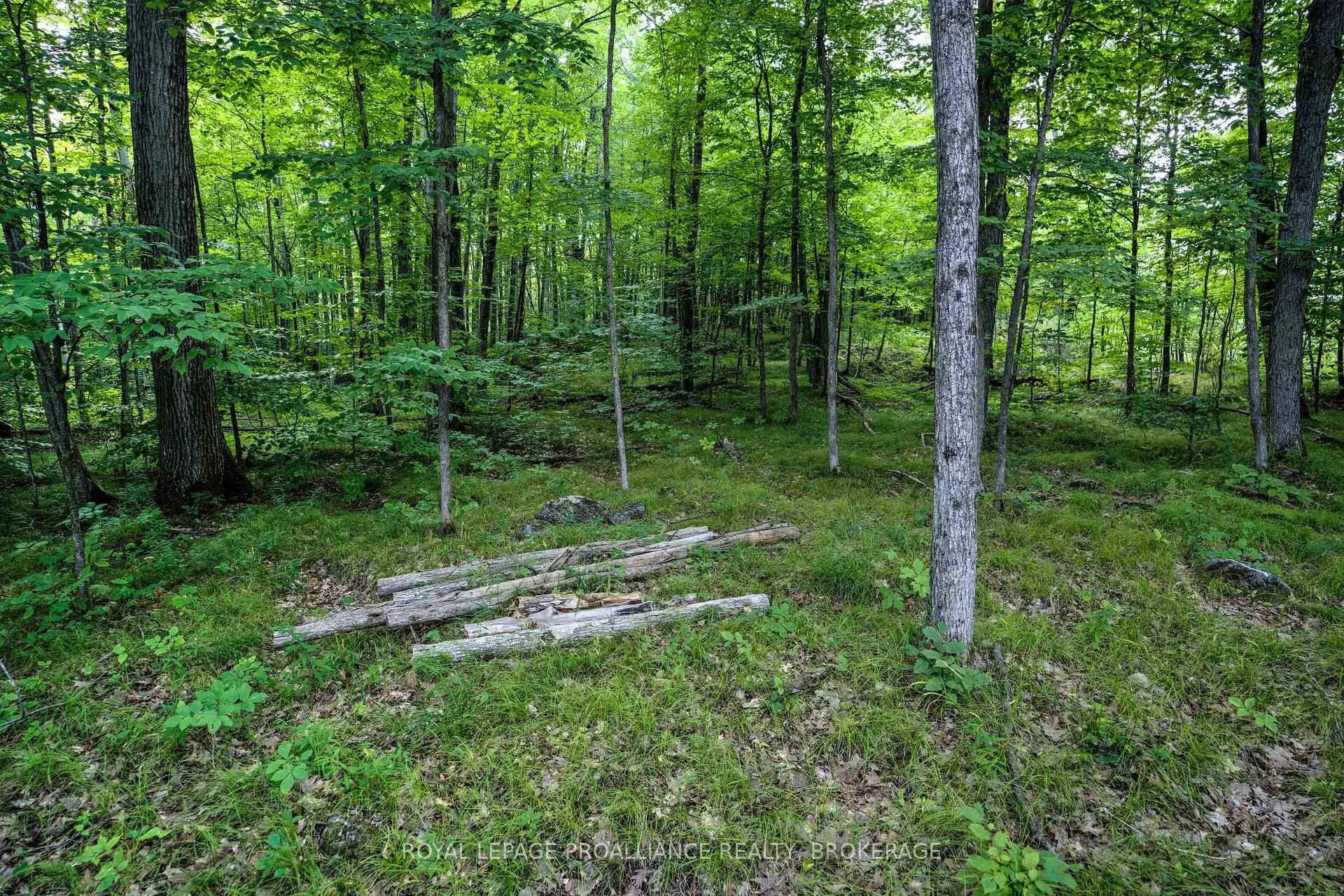Photo 21 of 572 Oak Bluffs Road, Frontenac, Frontenac South — HOMEH