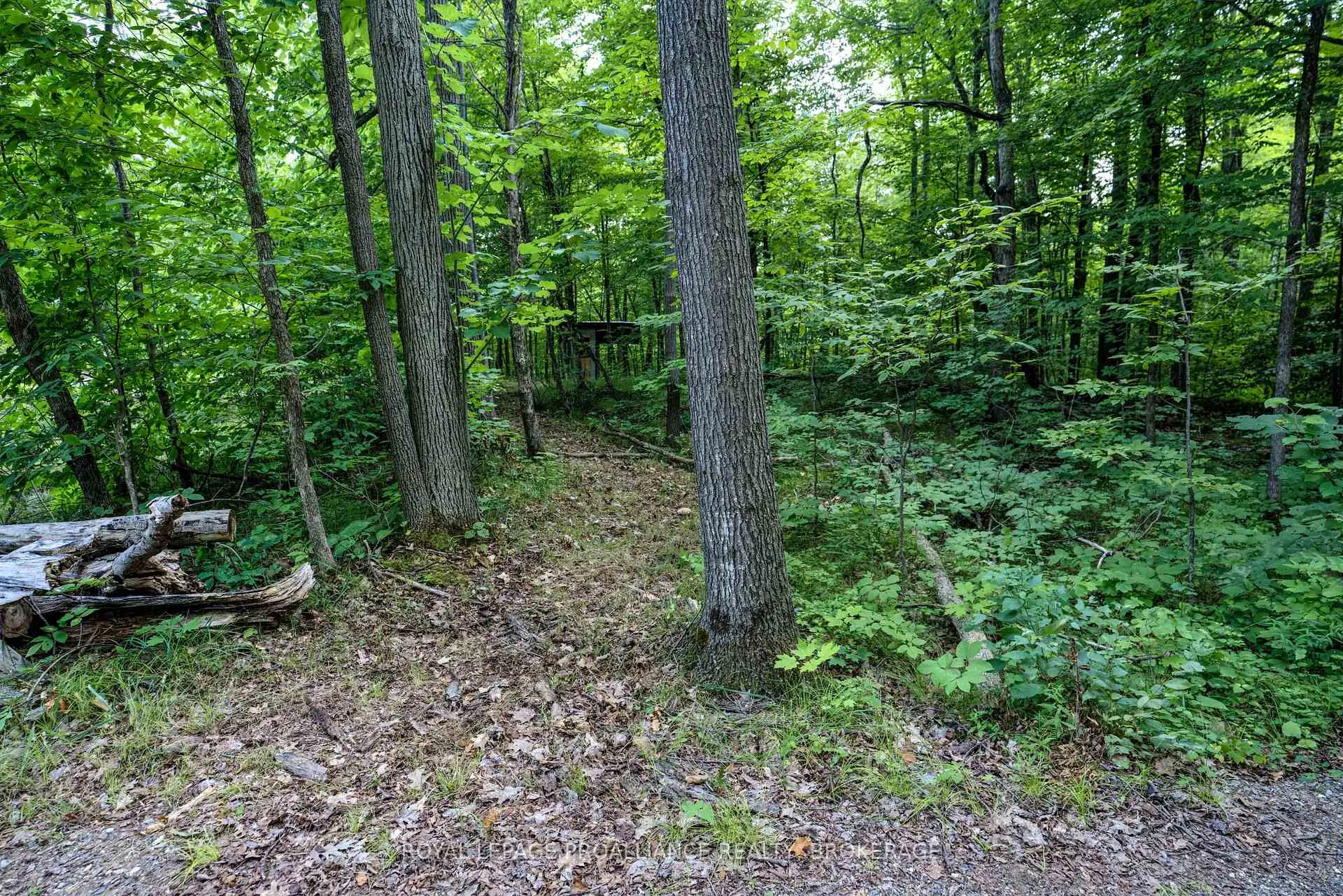 Photo 22 of 572 Oak Bluffs Road, Frontenac, Frontenac South — HOMEH