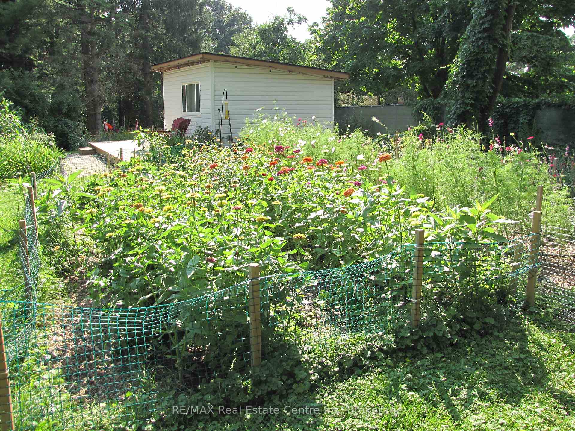 Photo 6 of 102 Emma St, Guelph, General Hospital — HOMEH