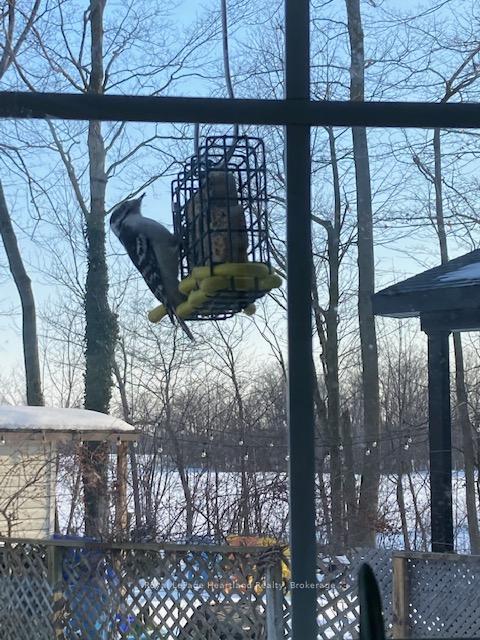 Photo 23 of 76735 Wildwood Line, Bluewater, Stanley — HOMEH