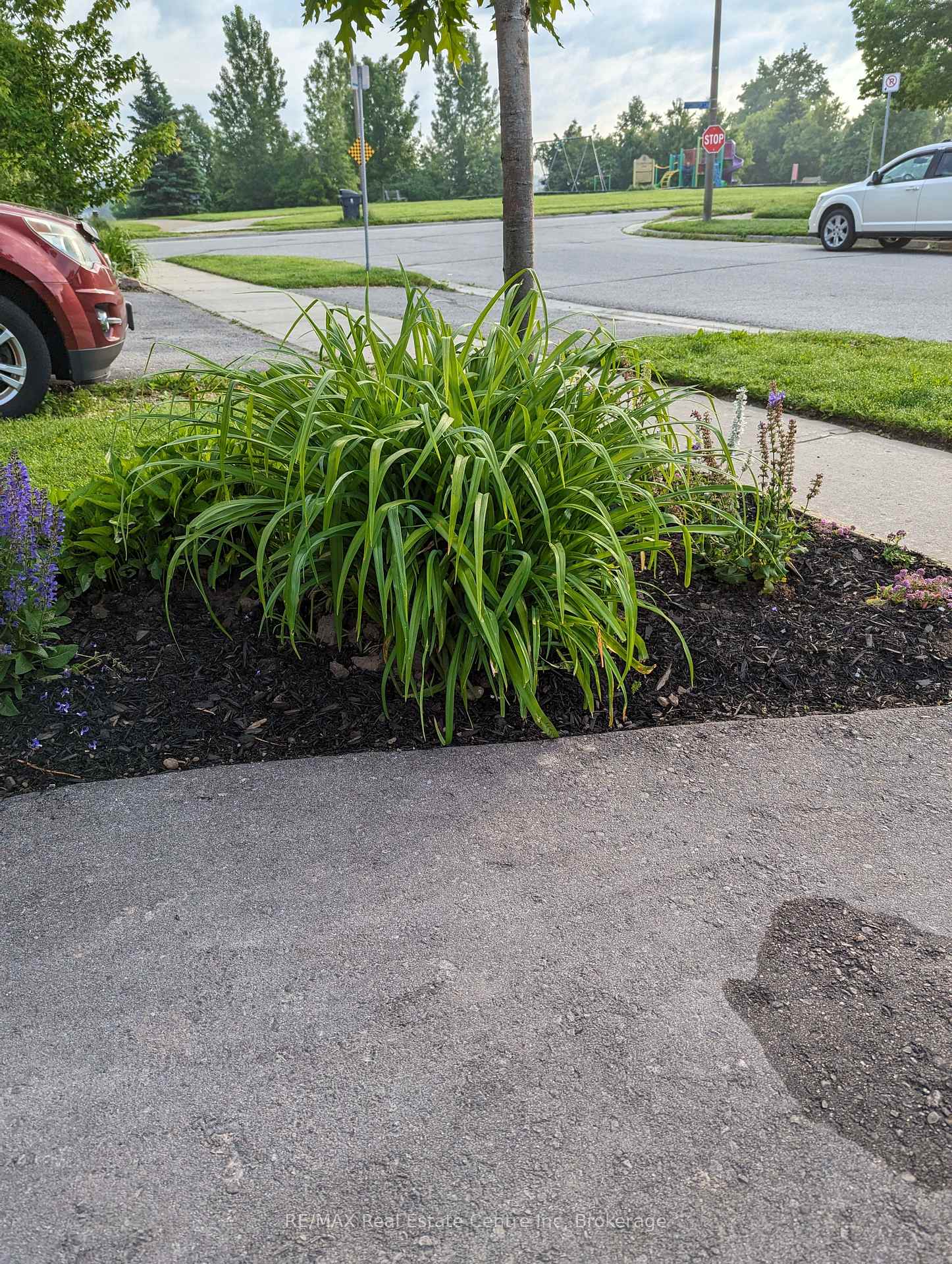 Photo 37 of 146 Lee Street, Guelph, Grange Road — HOMEH