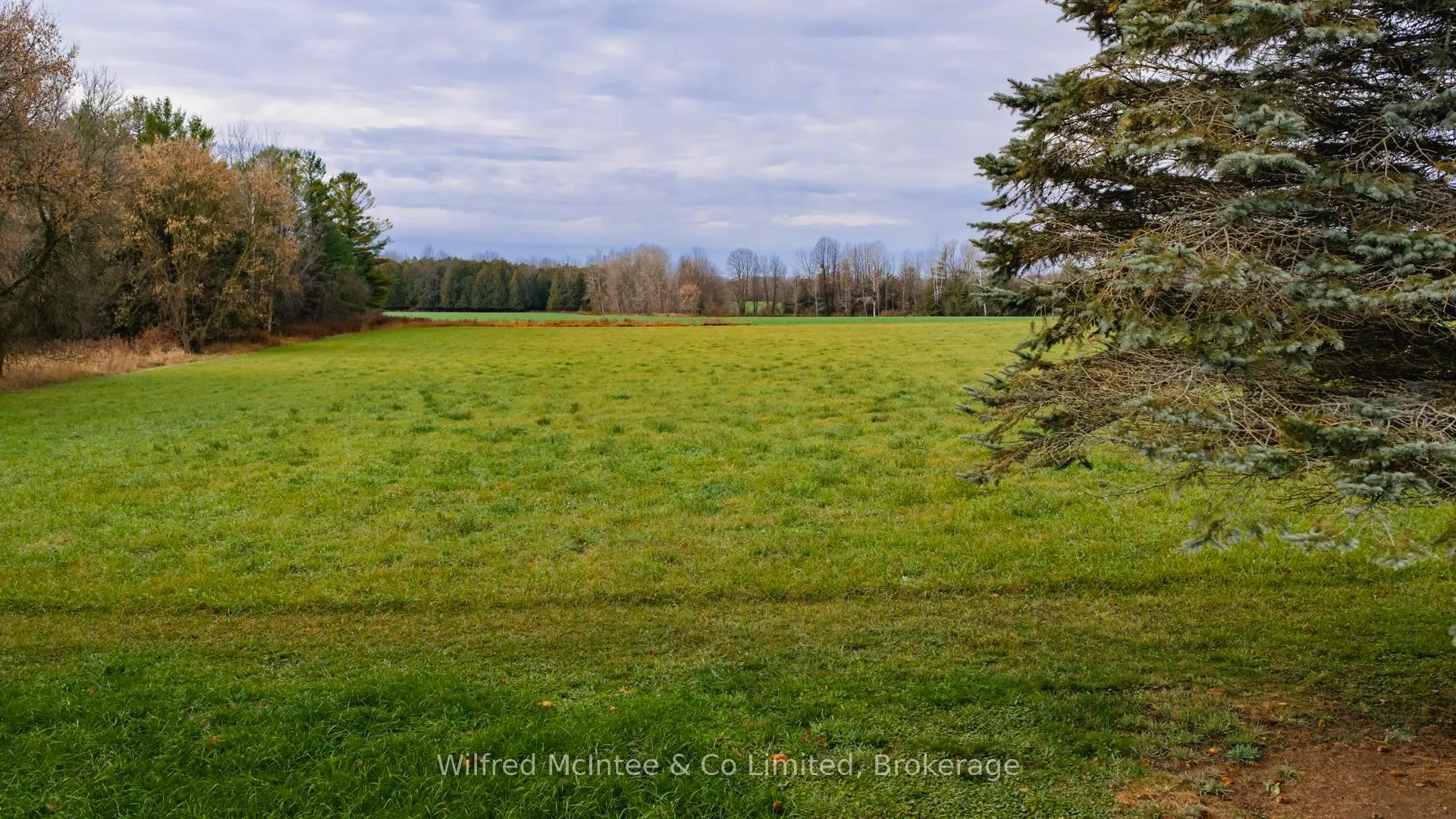 Photo 9 of 189 Maple Hill Road, Brockton — HOMEH