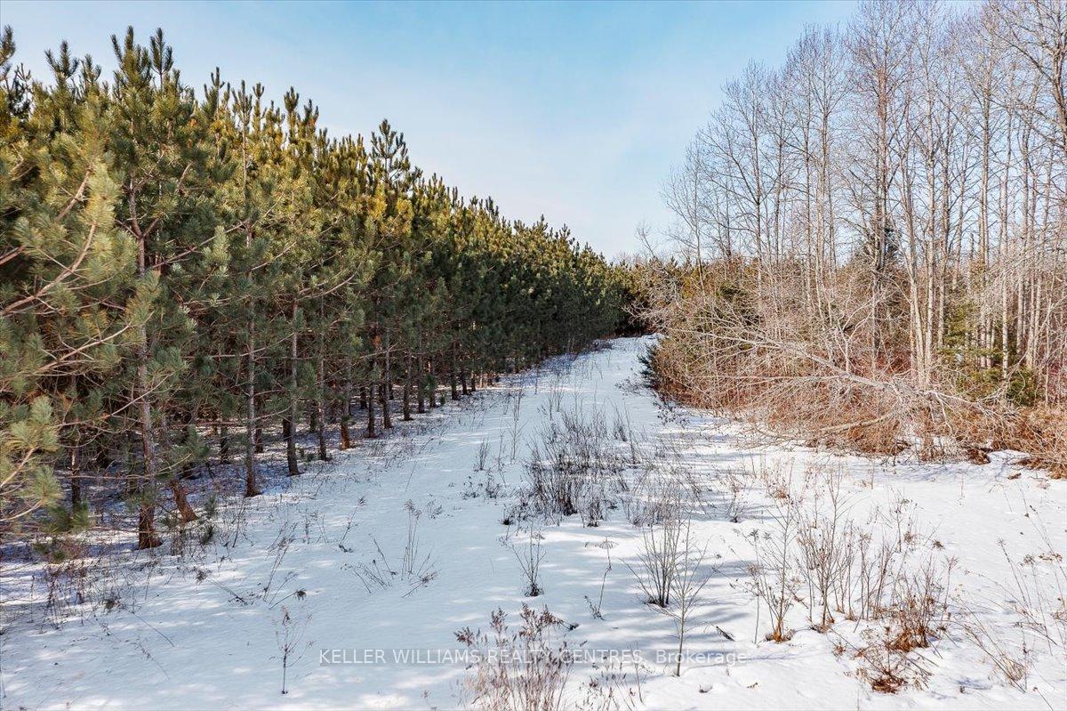 Photo 44 of 22966 Miles Road, Georgina, Baldwin — HOMEH