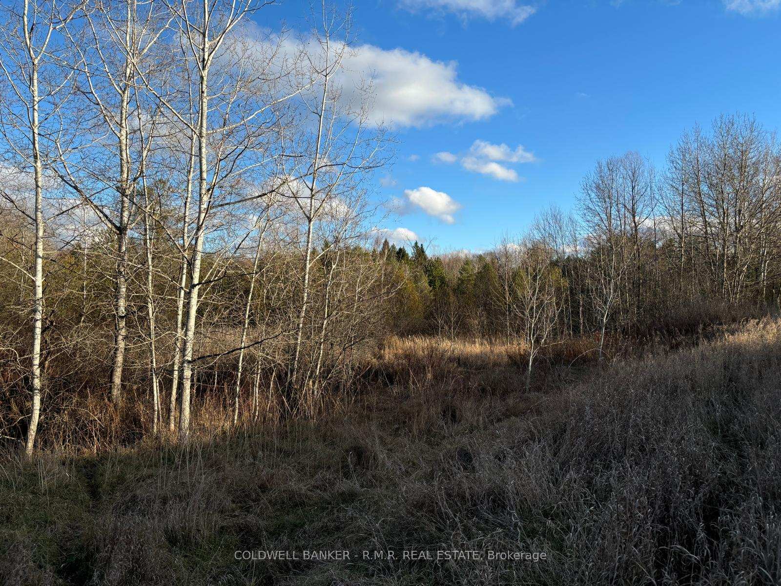 Photo 14 of B1995 Concession 7 Road E, Brock, Rural Brock — HOMEH