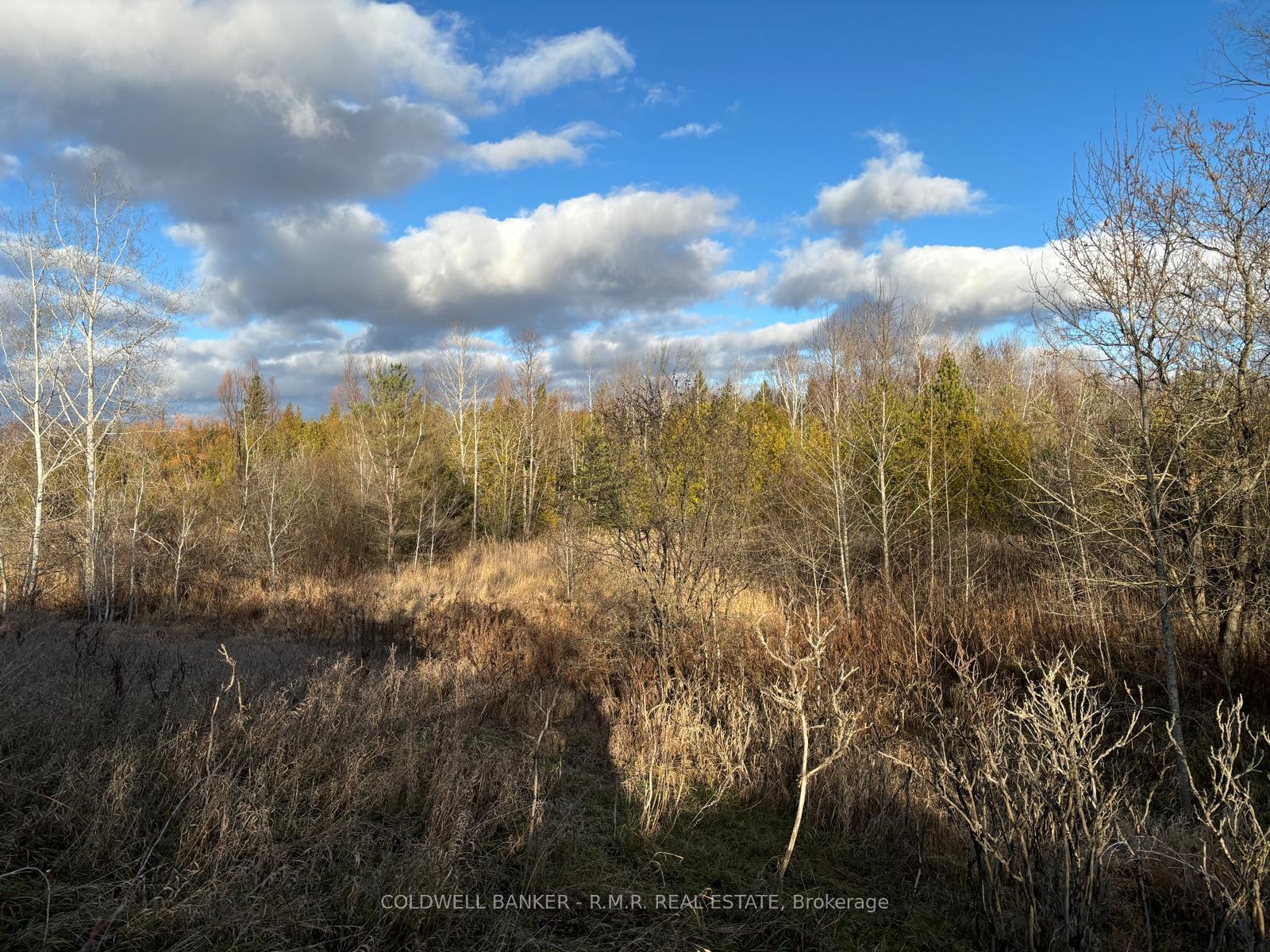 Photo 16 of B1995 Concession 7 Road E, Brock, Rural Brock — HOMEH