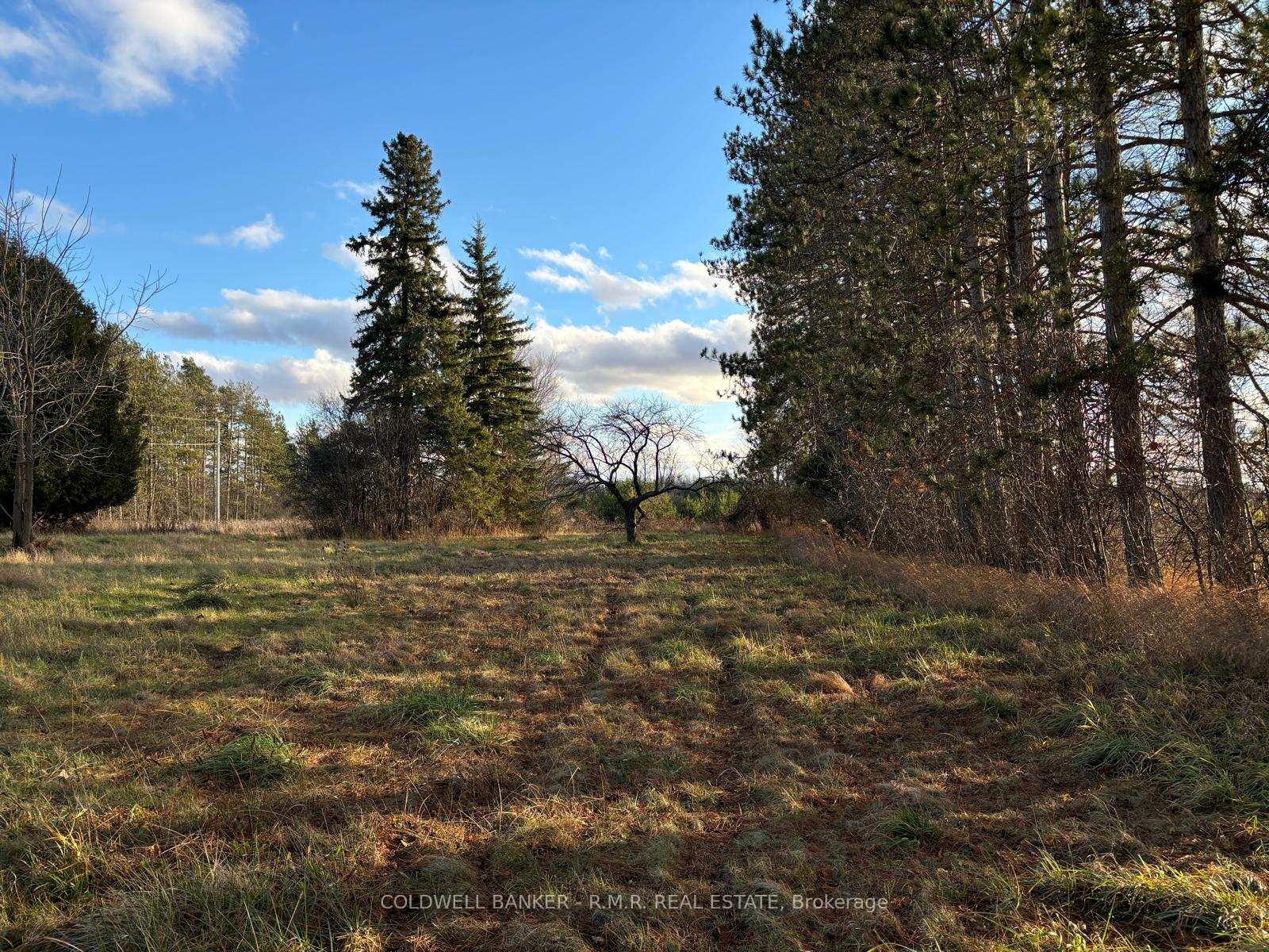Photo 17 of B1995 Concession 7 Road E, Brock, Rural Brock — HOMEH