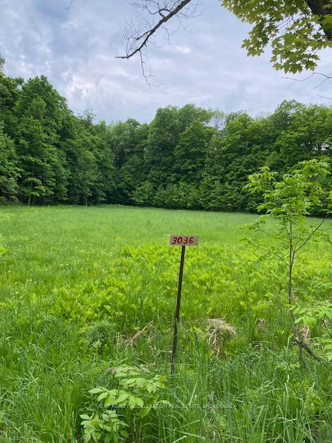 Photo 2 of 3036 John Martin Road, Frontenac, Frontenac South — HOMEH