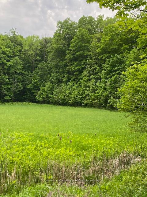 Photo 3 of 3036 John Martin Road, Frontenac, Frontenac South — HOMEH