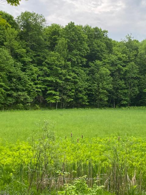 Photo 4 of 3036 John Martin Road, Frontenac, Frontenac South — HOMEH