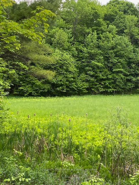 Photo 5 of 3036 John Martin Road, Frontenac, Frontenac South — HOMEH