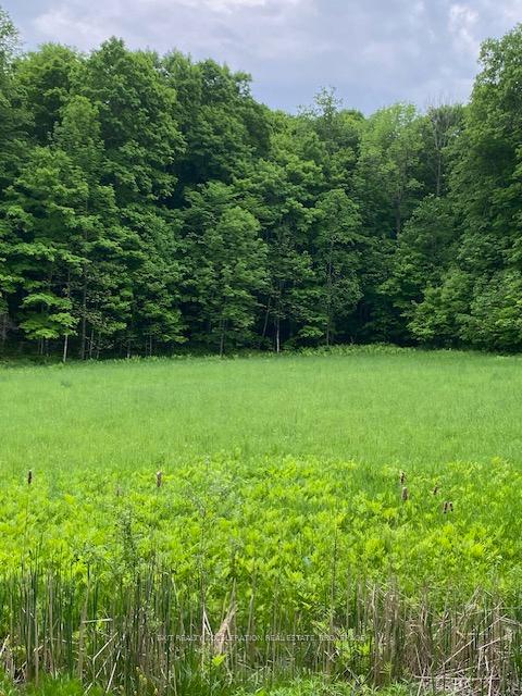 Photo 6 of 3036 John Martin Road, Frontenac, Frontenac South — HOMEH
