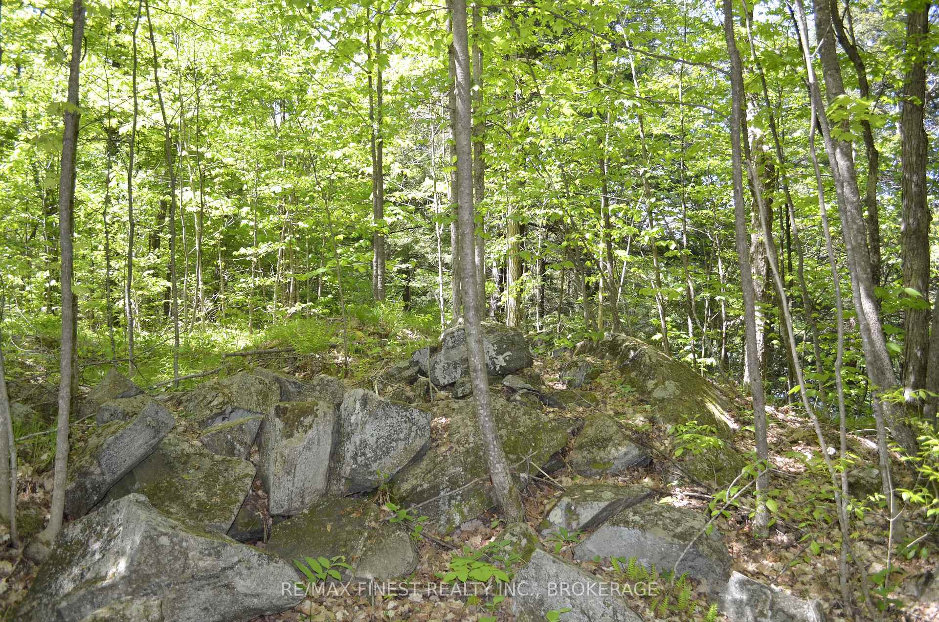 Photo 3 of 734 Sherbrooke Drive, Frontenac, Frontenac South — HOMEH
