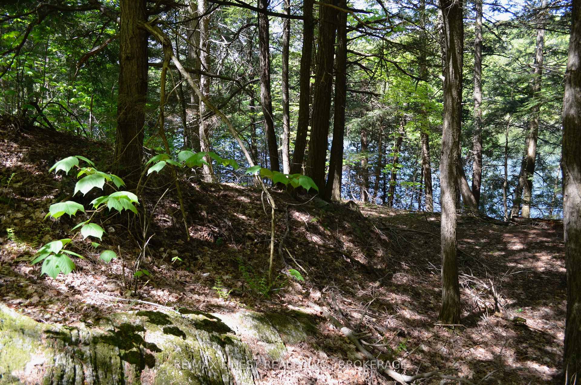 Photo 8 of 734 Sherbrooke Drive, Frontenac, Frontenac South — HOMEH