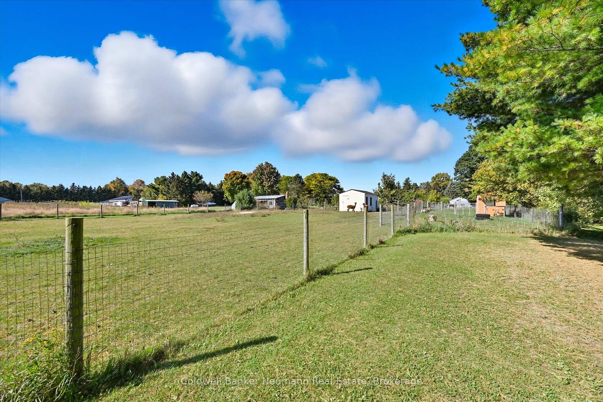 Photo 20 of 1704 2nd Con Road W, Hamilton, Rural Flamborough — HOMEH