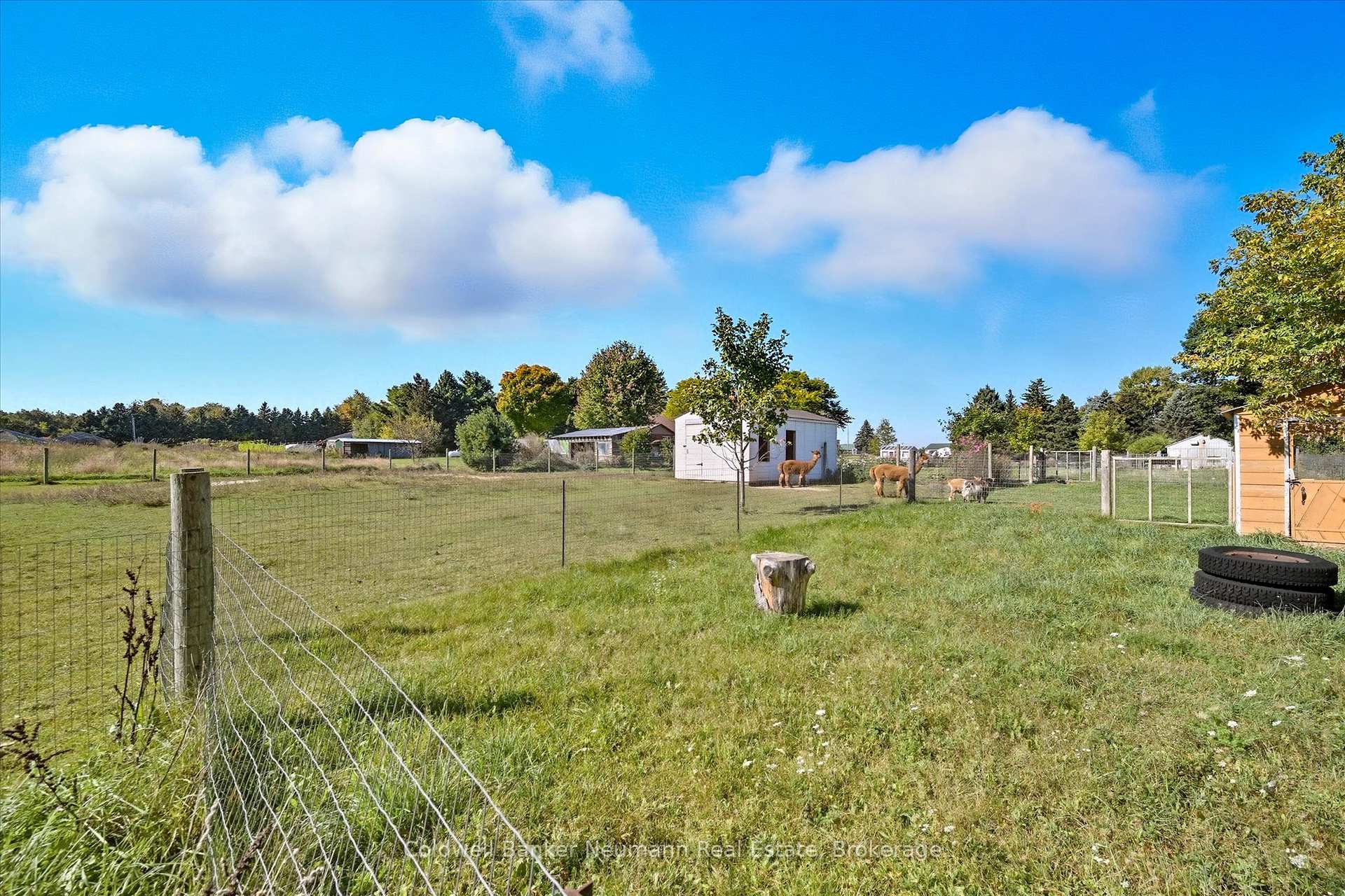 Photo 21 of 1704 2nd Con Road W, Hamilton, Rural Flamborough — HOMEH