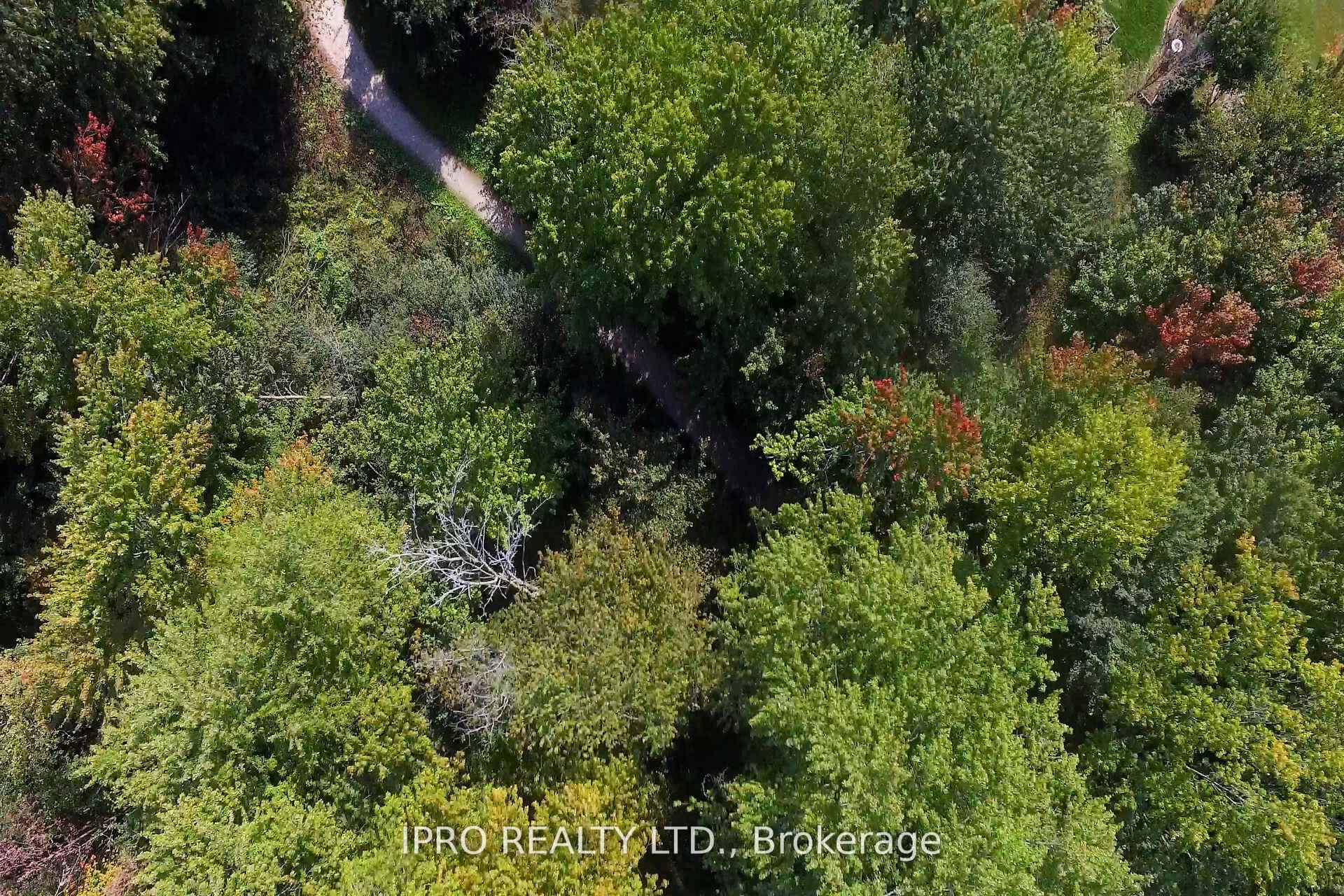 Photo 33 of 19 Westra Drive, Guelph, Willow West/Sugarbush/West Acres — HOMEH