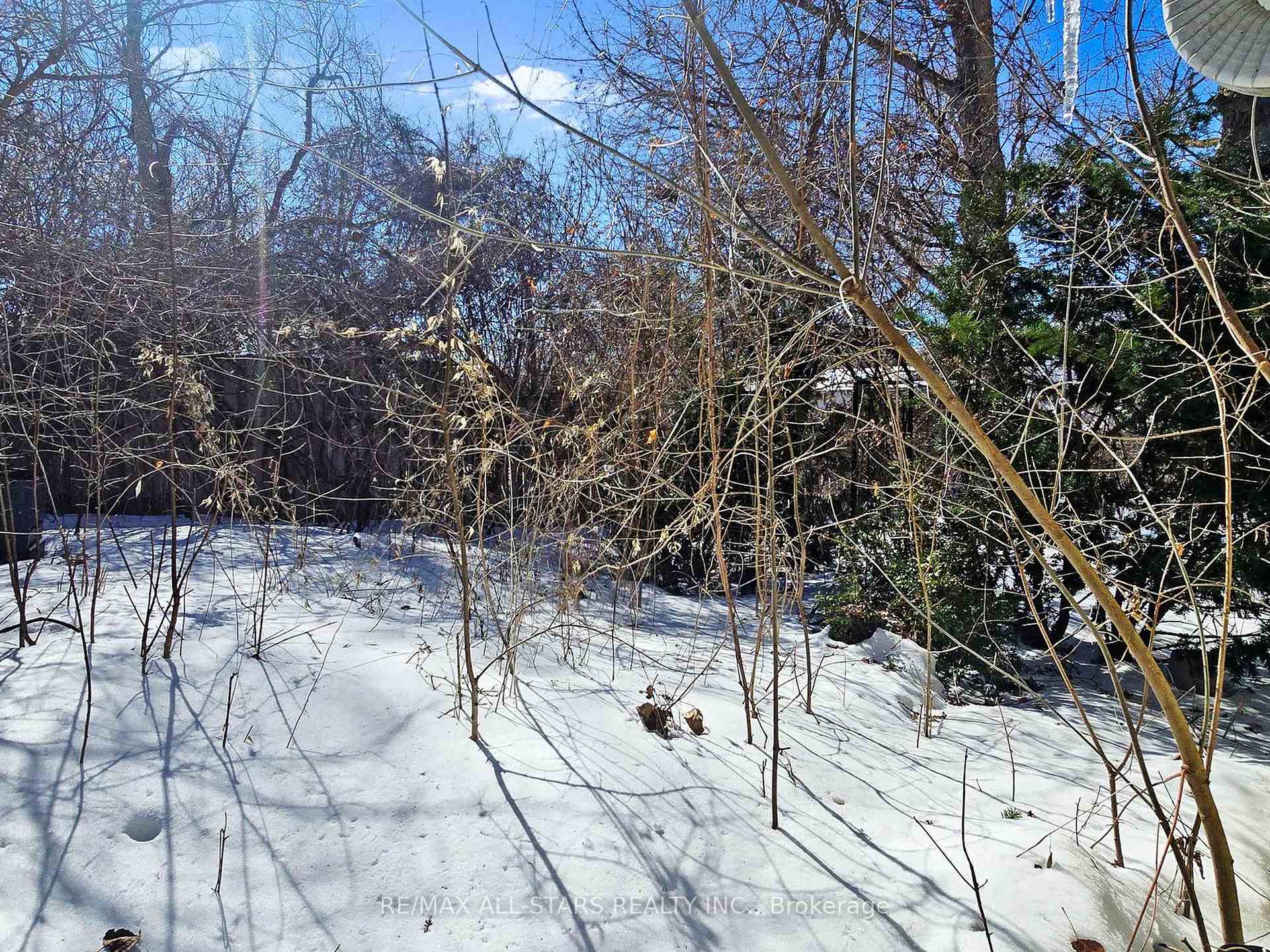 Photo 38 of 135 Spring Road, Georgina, Keswick North — HOMEH