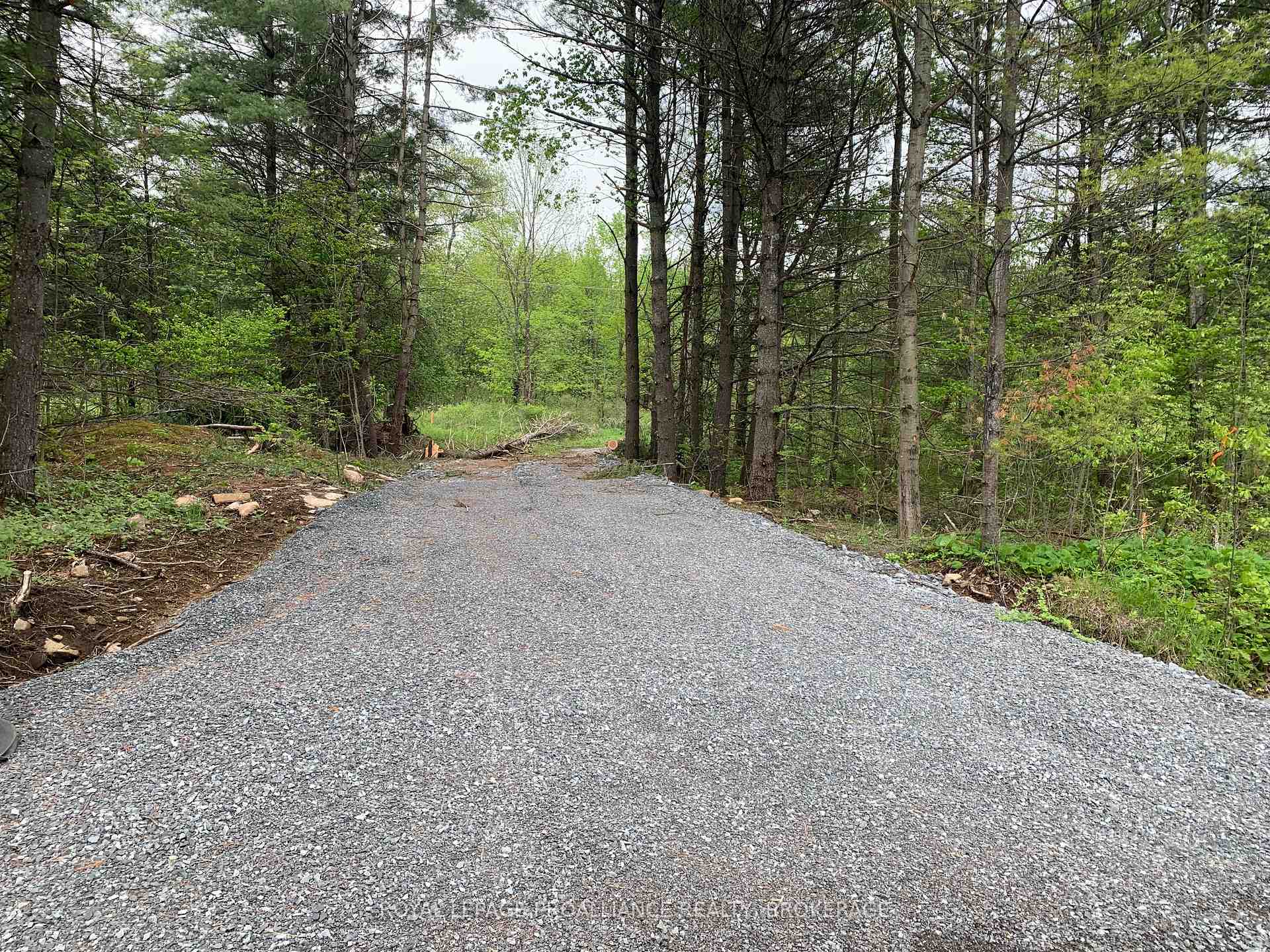 Front of Lot 3 Leveque Road