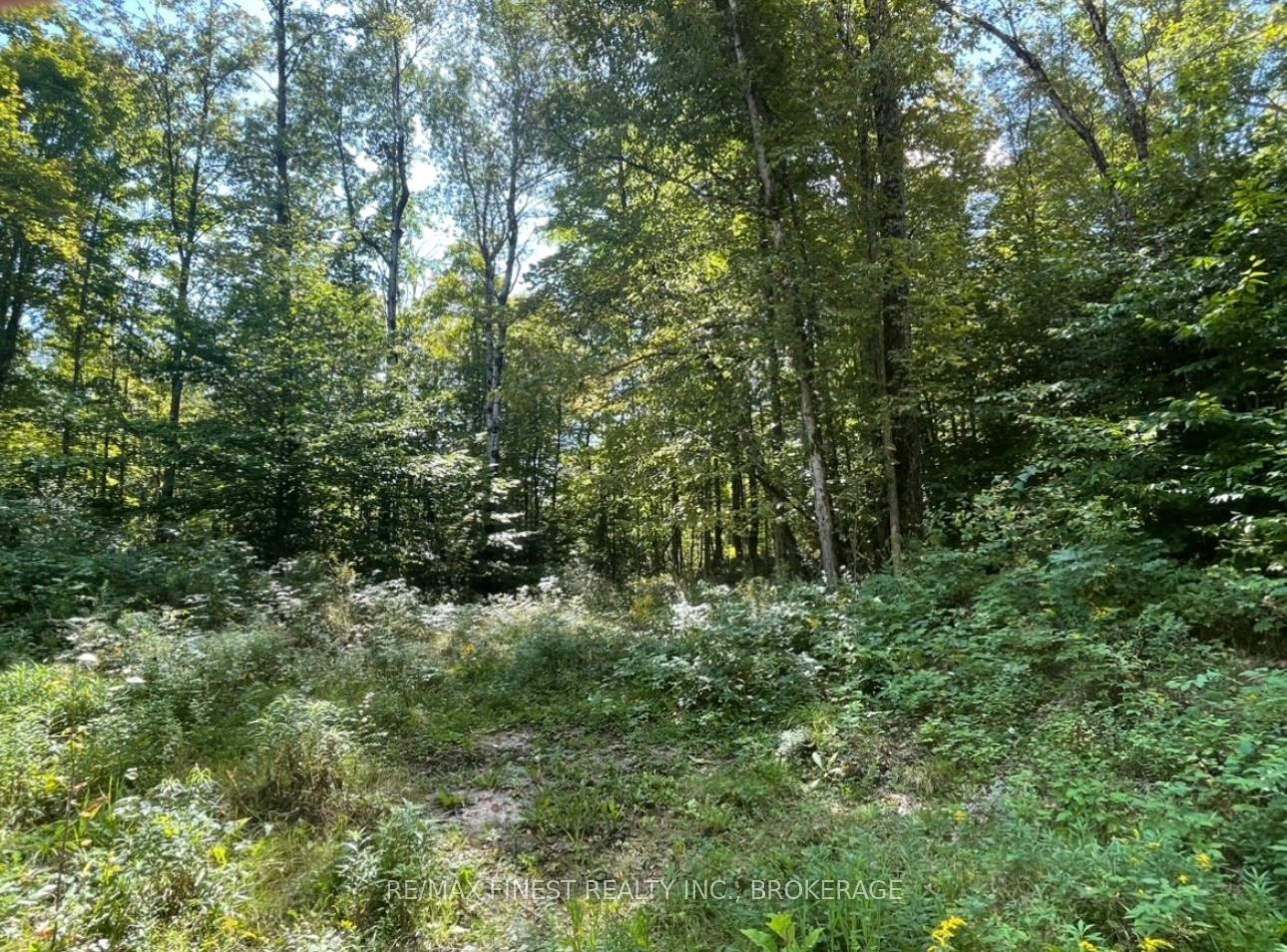Front of LOT 14 -15 0 Thunder Lane