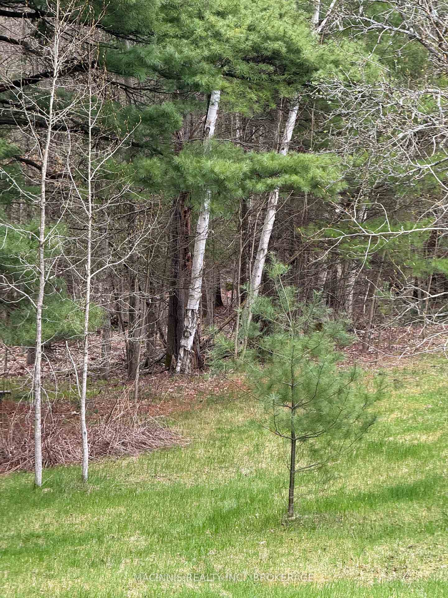 Photo 16 of 7666 Highway 38 Road, Frontenac, Frontenac South — HOMEH
