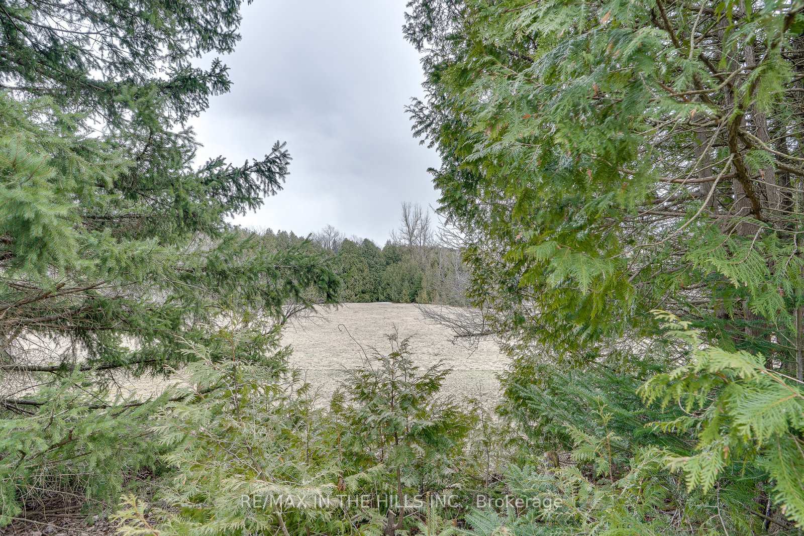 Photo 19 of 689 Highpoint Side Road, Caledon, Rural Caledon — HOMEH