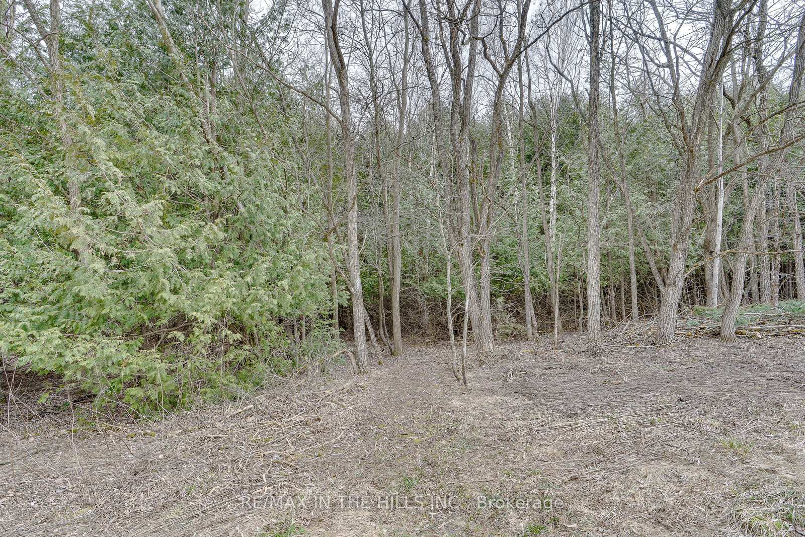 Photo 25 of 689 Highpoint Side Road, Caledon, Rural Caledon — HOMEH