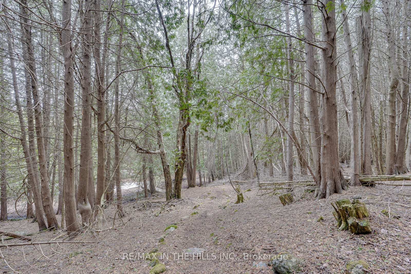 Photo 26 of 689 Highpoint Side Road, Caledon, Rural Caledon — HOMEH