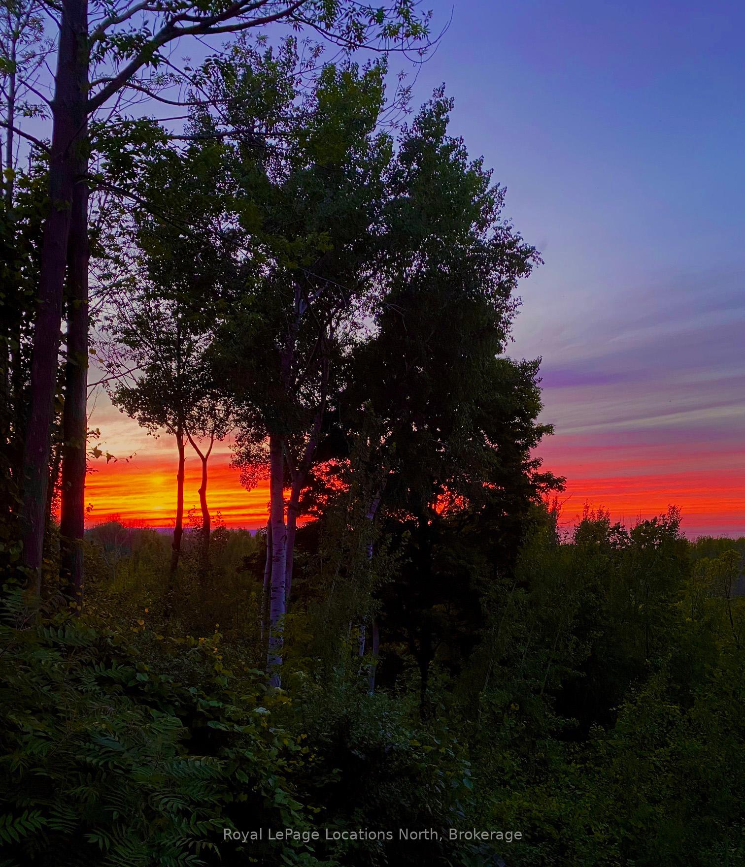 Photo 48 of 167 39TH Side Road, Blue Mountains — HOMEH