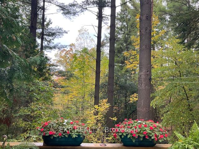 Photo 4 of Unit 104, 76735 Wildwood Line, Bluewater, Stanley — HOMEH