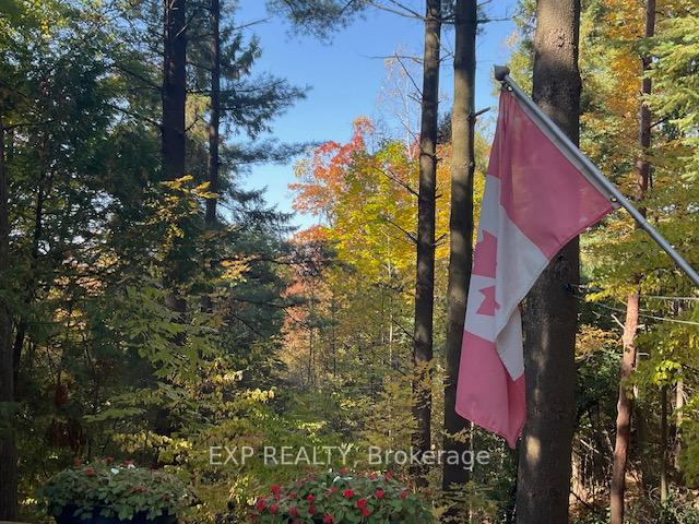 Photo 5 of Unit 104, 76735 Wildwood Line, Bluewater, Stanley — HOMEH