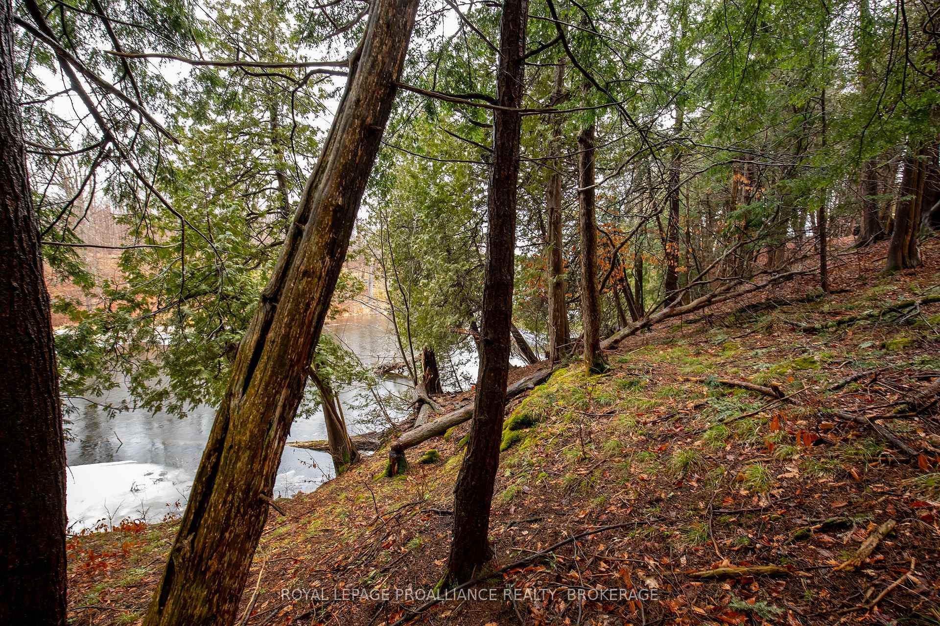 Photo 24 of 1067 Cedarwoods Drive, Frontenac, Frontenac South — HOMEH