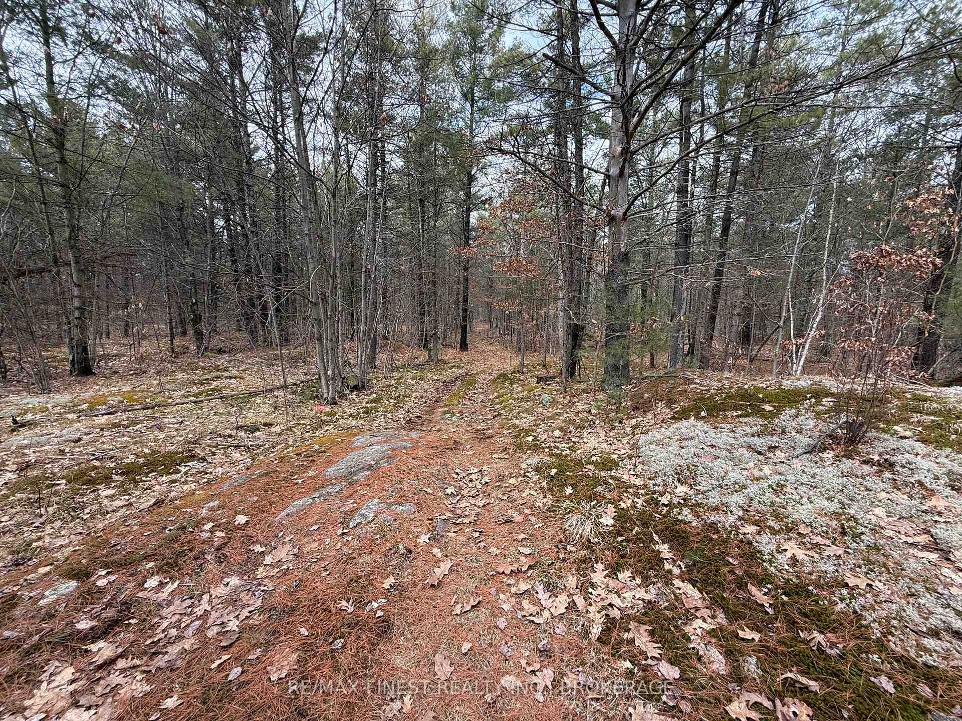 Photo 20 of 2066 Echo Lake Road, Frontenac, Frontenac Centre — HOMEH