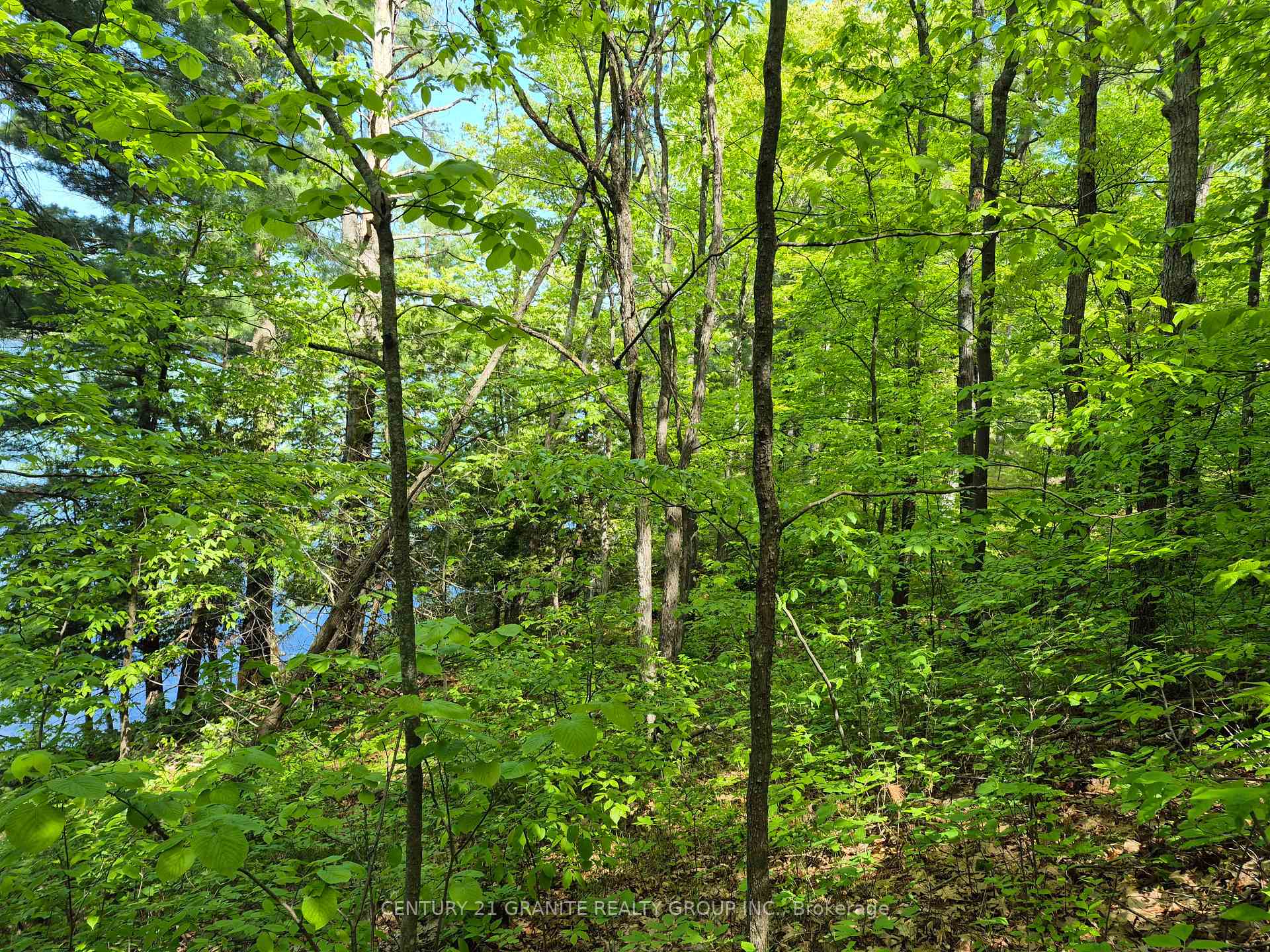 Photo 33 of 1152 Warrington Lane, Central Frontenac, Frontenac Centre — HOMEH